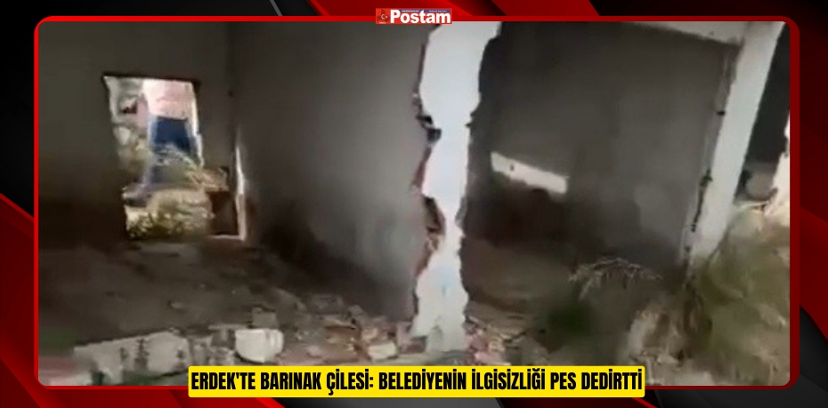 Erdek'te barınak çilesi: Belediyenin ilgisizliği pes dedirtti