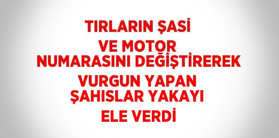 TIRLARIN ŞASİ VE MOTOR NUMARASINI DEĞİŞTİREREK VURGUN YAPAN ŞAHISLAR YAKAYI ELE VERDİ