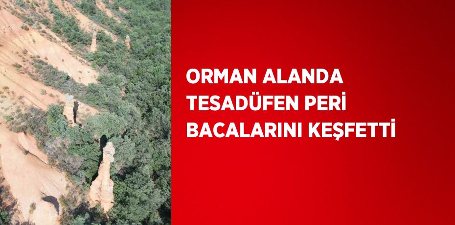 ORMAN ALANDA TESADÜFEN PERİ BACALARINI KEŞFETTİ