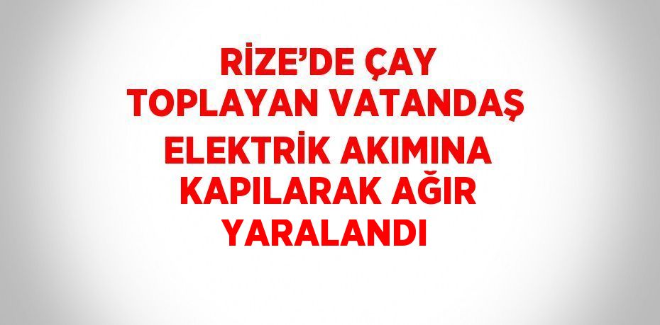 RİZE’DE ÇAY TOPLAYAN VATANDAŞ ELEKTRİK AKIMINA KAPILARAK AĞIR YARALANDI