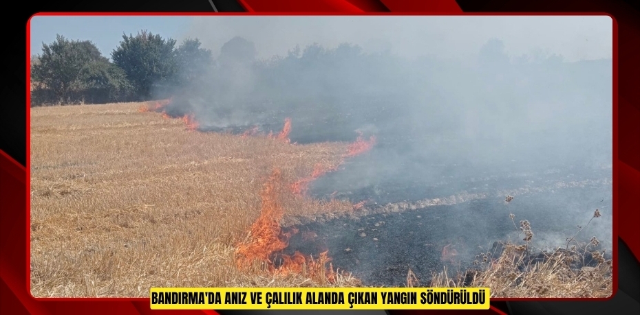 Bandırma'da anız ve çalılık alanda çıkan yangın söndürüldü