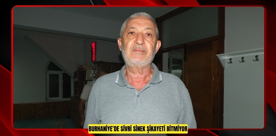 Burhaniye’de sivri sinek şikayeti bitmiyor