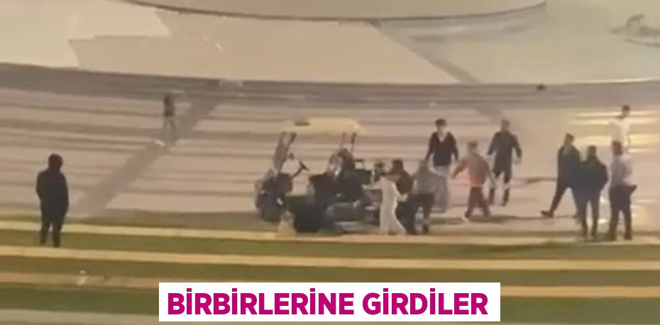 Birbirlerine girdiler