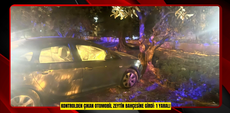 Kontrolden çıkan otomobil zeytin bahçesine girdi: 1 yaralı