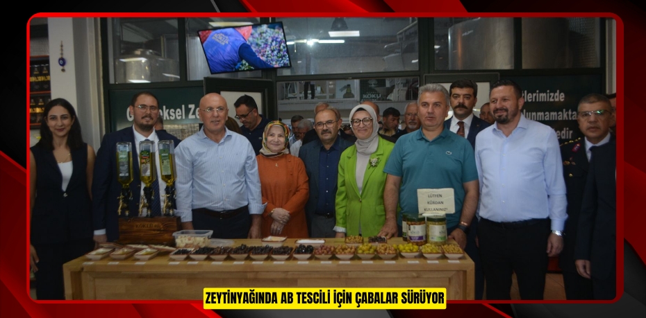 Zeytinyağında AB tescili için çabalar sürüyor