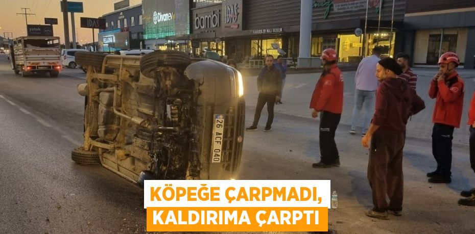 Köpeğe çarpmadı, kaldırıma çarptı