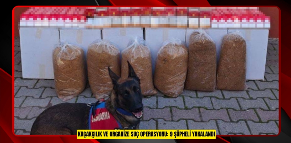 Kaçakçılık ve organize suç operasyonu: 9 şüpheli yakalandı