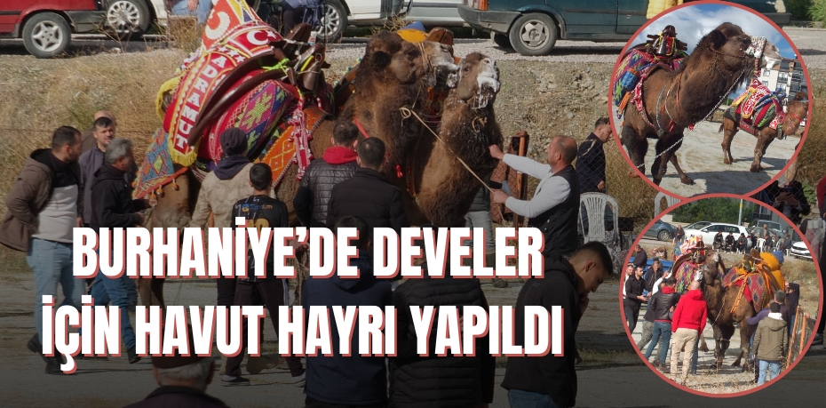 Burhaniye’de develer için havut hayrı yapıldı 