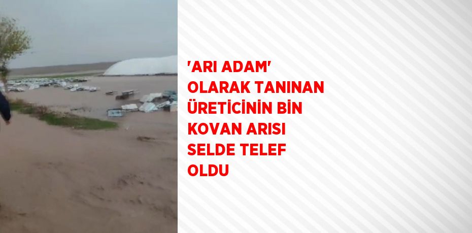 'ARI ADAM' OLARAK TANINAN ÜRETİCİNİN BİN KOVAN ARISI SELDE TELEF OLDU