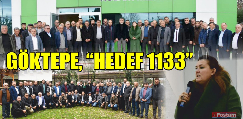 GÖKTEPE, “HEDEF 1133”