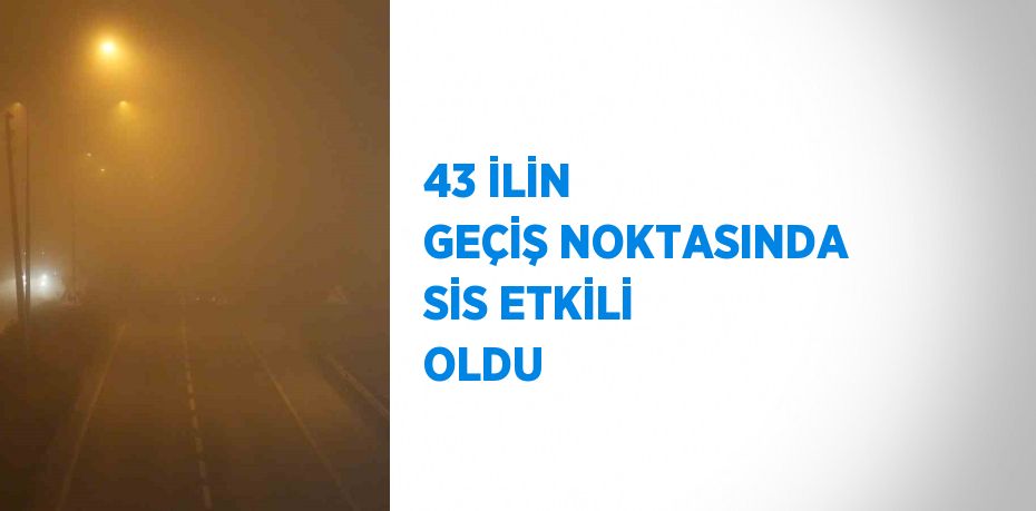 43 İLİN GEÇİŞ NOKTASINDA SİS ETKİLİ OLDU