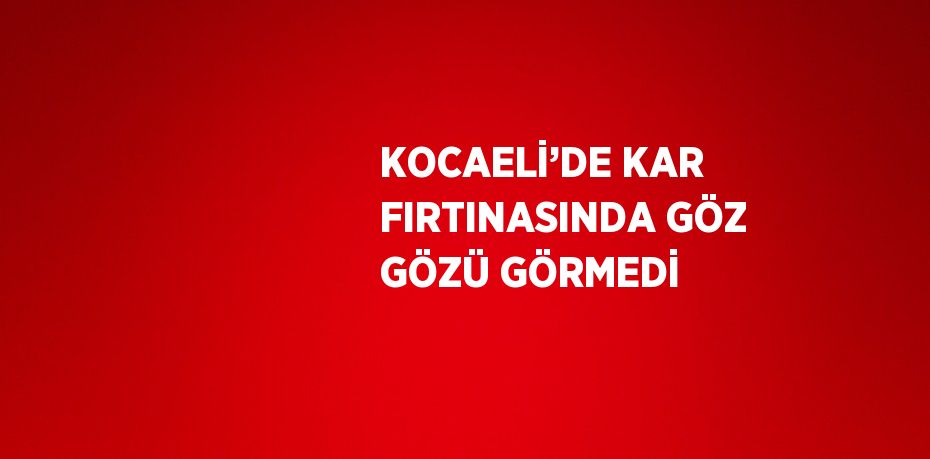 KOCAELİ’DE KAR FIRTINASINDA GÖZ GÖZÜ GÖRMEDİ