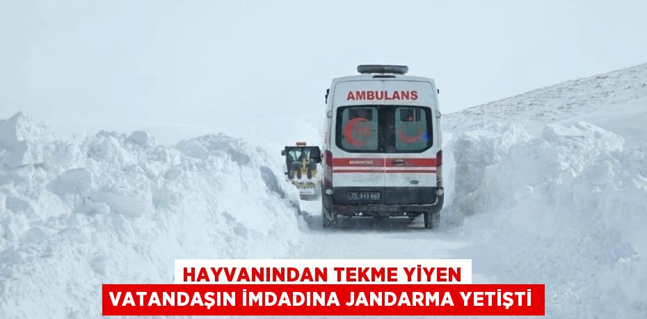 HAYVANINDAN TEKME YİYEN VATANDAŞIN İMDADINA JANDARMA YETİŞTİ