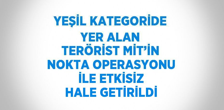 YEŞİL KATEGORİDE YER ALAN TERÖRİST MİT’İN NOKTA OPERASYONU İLE ETKİSİZ HALE GETİRİLDİ