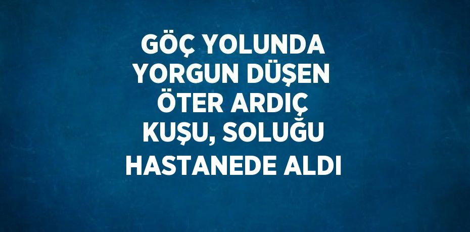 GÖÇ YOLUNDA YORGUN DÜŞEN ÖTER ARDIÇ KUŞU, SOLUĞU HASTANEDE ALDI