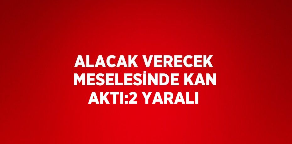 ALACAK VERECEK MESELESİNDE KAN AKTI:2 YARALI