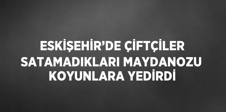 ESKİŞEHİR’DE ÇİFTÇİLER SATAMADIKLARI MAYDANOZU KOYUNLARA YEDİRDİ