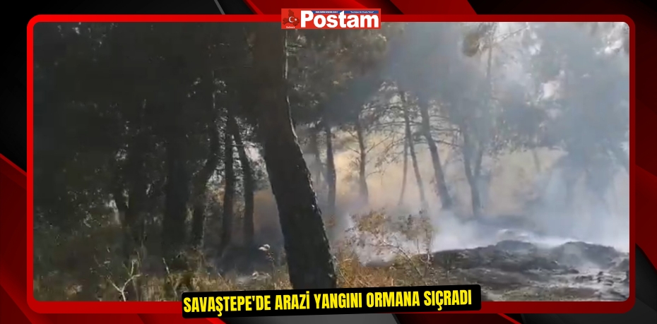 Savaştepe'de arazi yangını ormana sıçradı