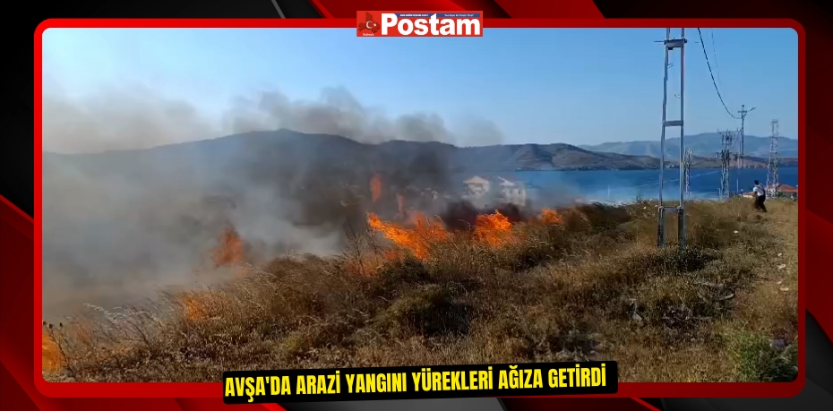 Avşa'da arazi yangını yürekleri ağıza getirdi
