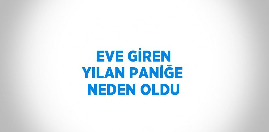 EVE GİREN YILAN PANİĞE NEDEN OLDU