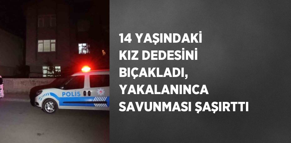 14 YAŞINDAKİ KIZ DEDESİNİ BIÇAKLADI, YAKALANINCA SAVUNMASI ŞAŞIRTTI