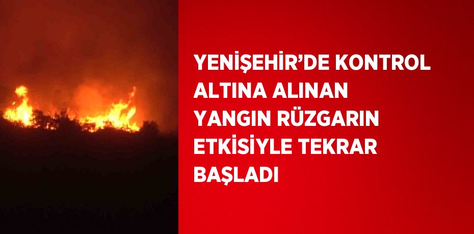 YENİŞEHİR’DE KONTROL ALTINA ALINAN YANGIN RÜZGARIN ETKİSİYLE TEKRAR BAŞLADI