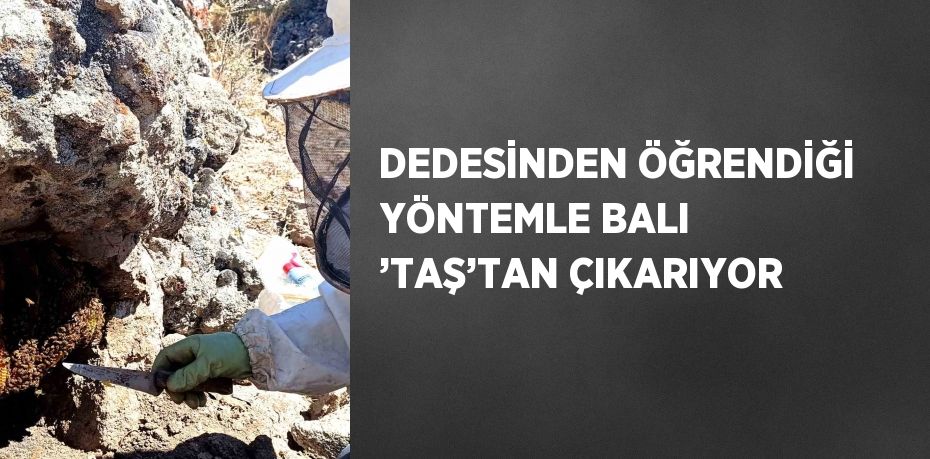 DEDESİNDEN ÖĞRENDİĞİ YÖNTEMLE BALI ’TAŞ’TAN ÇIKARIYOR
