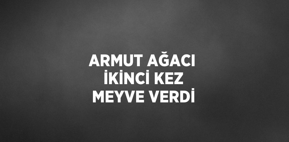 ARMUT AĞACI İKİNCİ KEZ MEYVE VERDİ