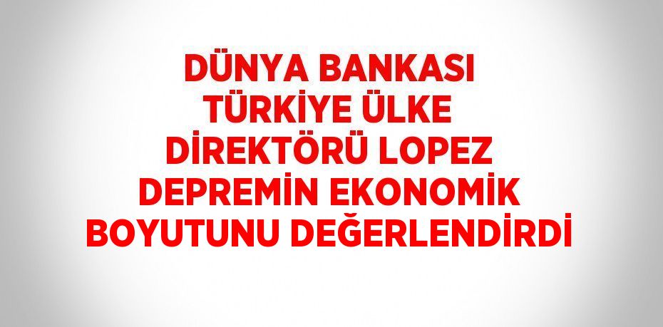 DÜNYA BANKASI TÜRKİYE ÜLKE DİREKTÖRÜ LOPEZ DEPREMİN EKONOMİK BOYUTUNU DEĞERLENDİRDİ