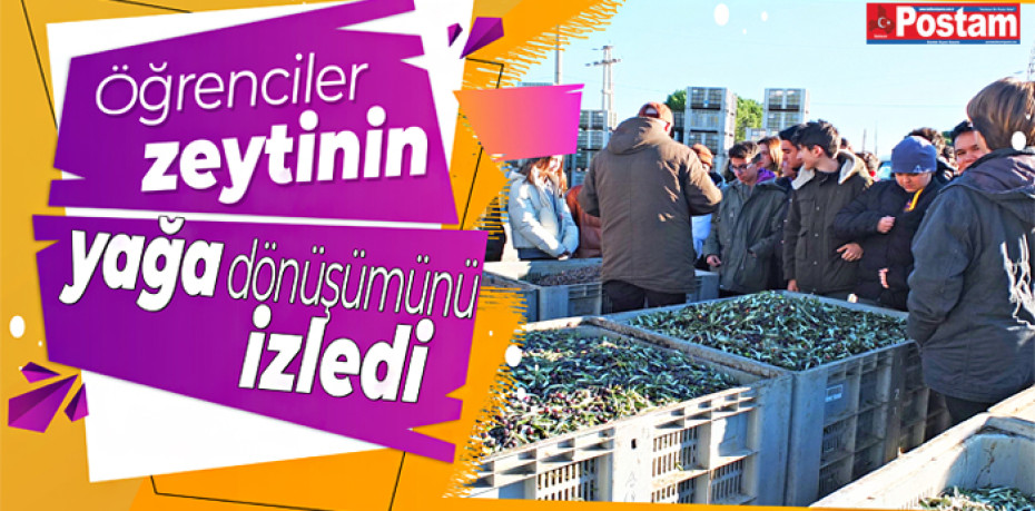 Öğrenciler zeytinin yağa dönüşümünü izledi
