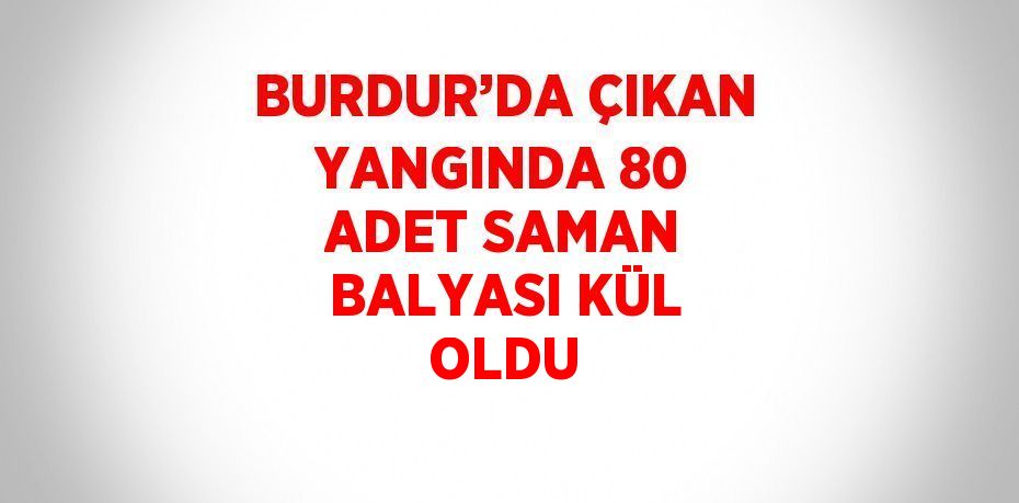BURDUR’DA ÇIKAN YANGINDA 80 ADET SAMAN BALYASI KÜL OLDU