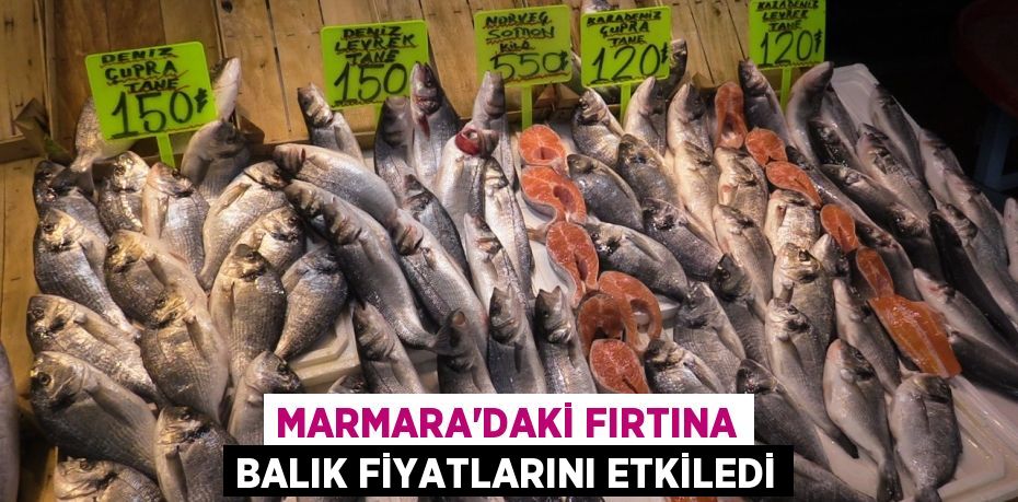 Marmara'daki fırtına balık fiyatlarını etkiledi