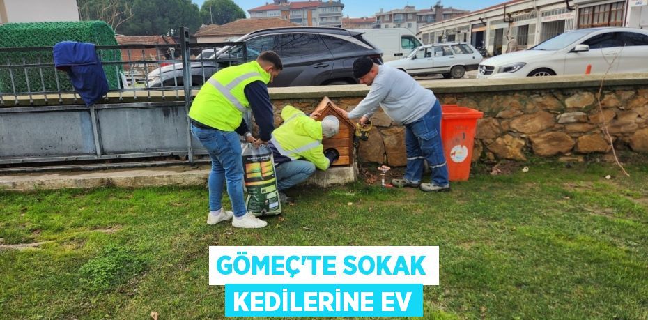 Gömeç’te sokak kedilerine ev