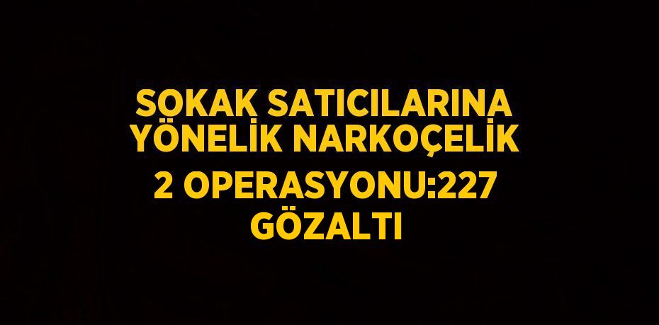 SOKAK SATICILARINA YÖNELİK NARKOÇELİK 2 OPERASYONU:227 GÖZALTI