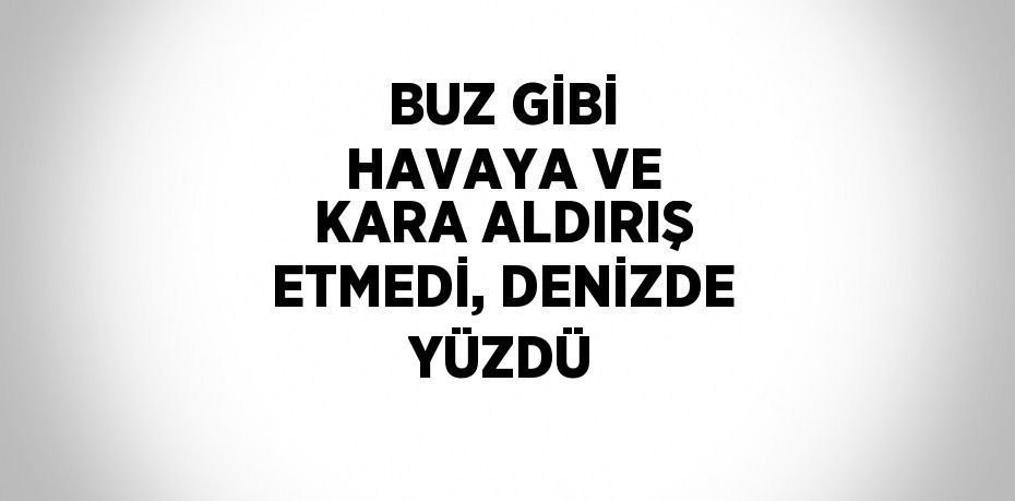 BUZ GİBİ HAVAYA VE KARA ALDIRIŞ ETMEDİ, DENİZDE YÜZDÜ