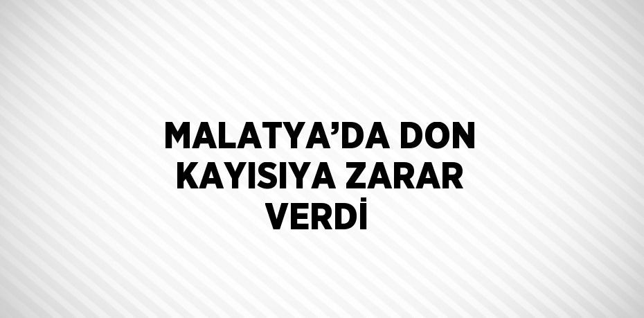 MALATYA’DA DON KAYISIYA ZARAR VERDİ