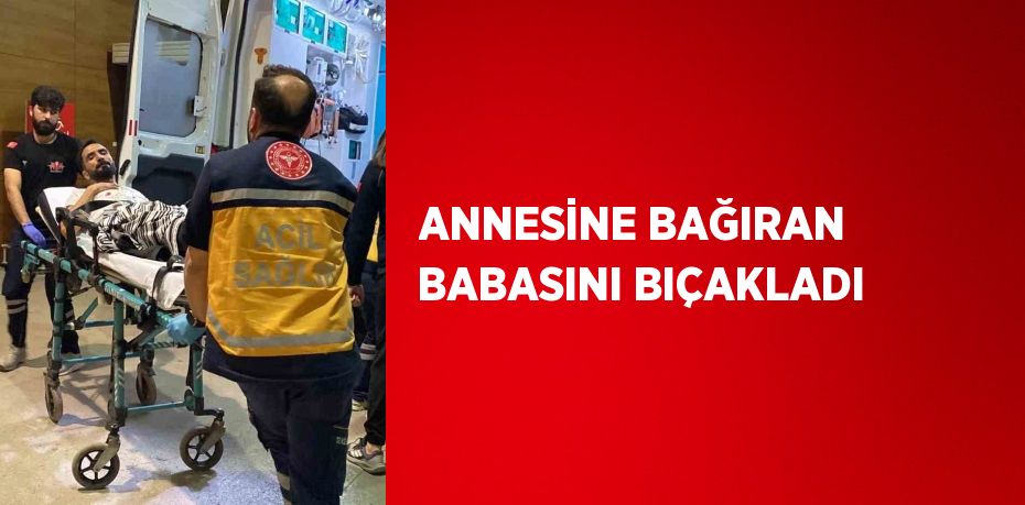 ANNESİNE BAĞIRAN BABASINI BIÇAKLADI