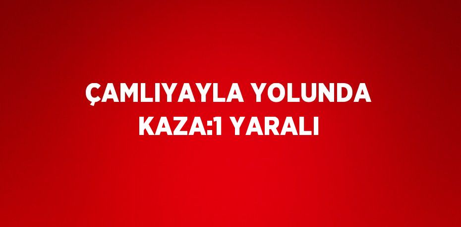 ÇAMLIYAYLA YOLUNDA KAZA:1 YARALI