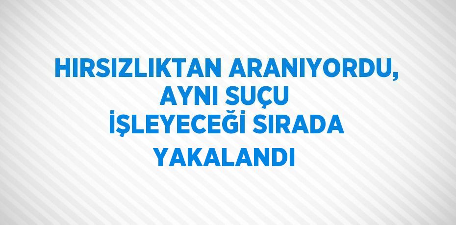 HIRSIZLIKTAN ARANIYORDU, AYNI SUÇU İŞLEYECEĞİ SIRADA YAKALANDI
