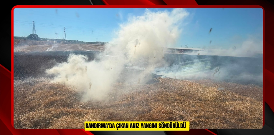 Bandırma'da çıkan anız yangını söndürüldü  