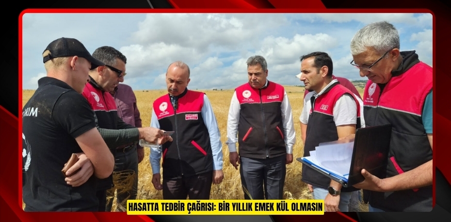 HASATTA TEDBİR ÇAĞRISI: BİR YILLIK EMEK KÜL OLMASIN