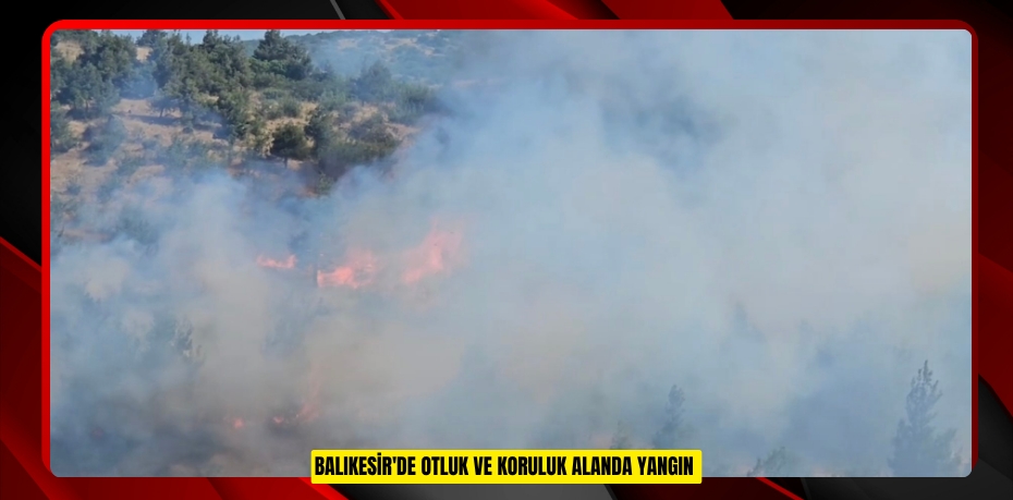 Balıkesir'de otluk ve koruluk alanda yangın