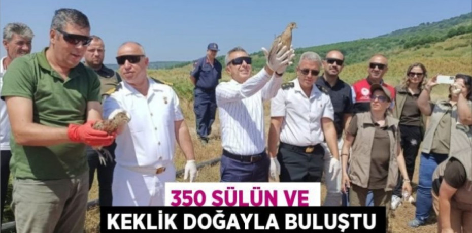 350 sülün ve keklik doğayla buluştu