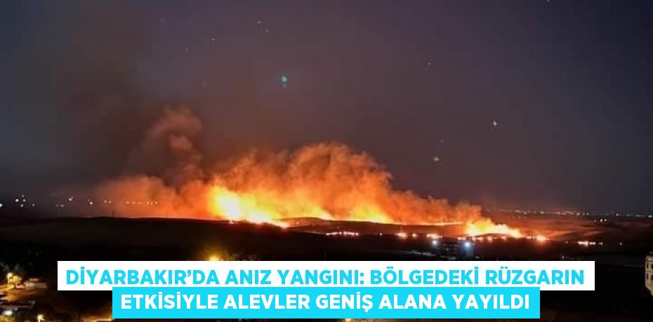 DİYARBAKIR’DA ANIZ YANGINI: BÖLGEDEKİ RÜZGARIN ETKİSİYLE ALEVLER GENİŞ ALANA YAYILDI