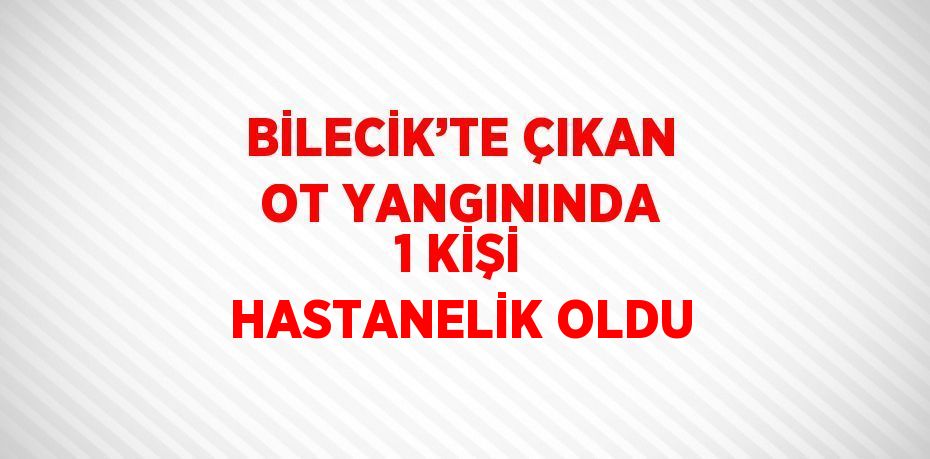 BİLECİK’TE ÇIKAN OT YANGININDA 1 KİŞİ HASTANELİK OLDU