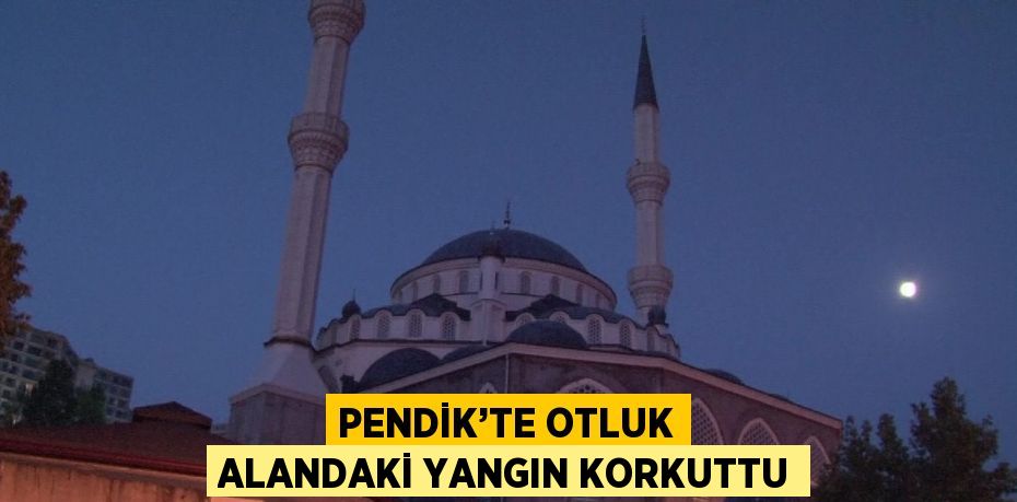 PENDİK’TE OTLUK ALANDAKİ YANGIN KORKUTTU
