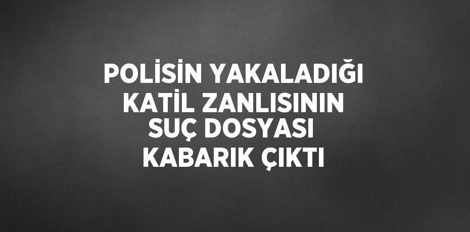 POLİSİN YAKALADIĞI KATİL ZANLISININ SUÇ DOSYASI KABARIK ÇIKTI