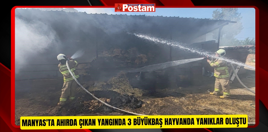 Manyas'ta ahırda çıkan yangında 3 büyükbaş hayvanda yanıklar oluştu