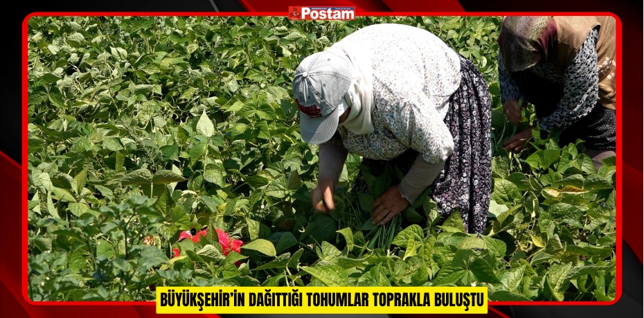 BÜYÜKŞEHİR’İN DAĞITTIĞI TOHUMLAR TOPRAKLA BULUŞTU