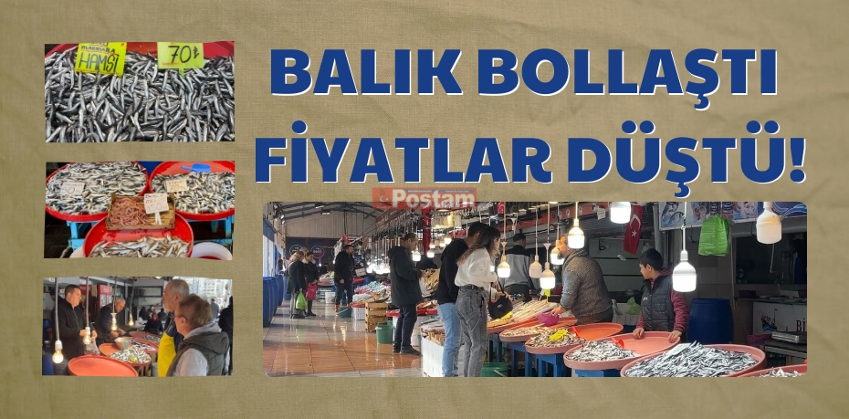 BALIK BOLLAŞTI FİYATLAR DÜŞTÜ!